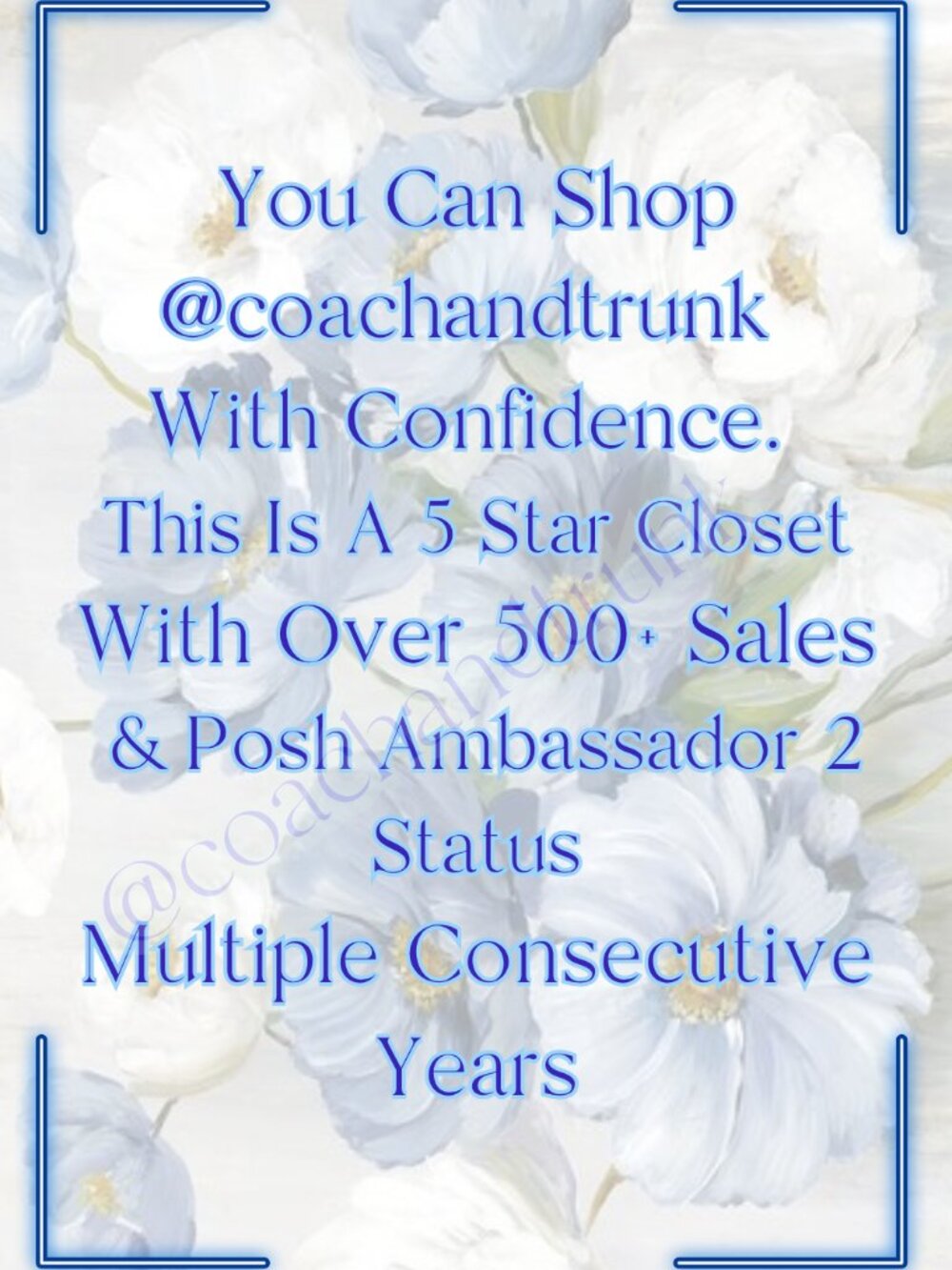 SHOP WITH CONFIDENCE💕5⭐CLOSET✨POSH AMBASSADOR 2🥇OVER 500+ SALES😊FAST SHIPPING